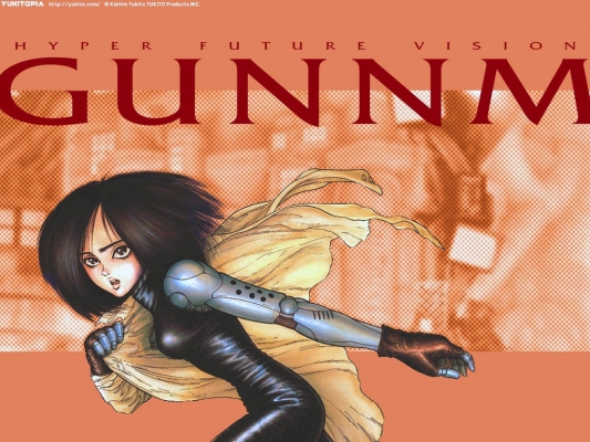 Battle Angel Alita
   , Battle Angel Alita Tsutsu Yume Gunnm  ,     , Battle Angel Alita Tsutsu Yume  anime picture and Battle Angel Alita Tsutsu wallpaper desktop,    ,    