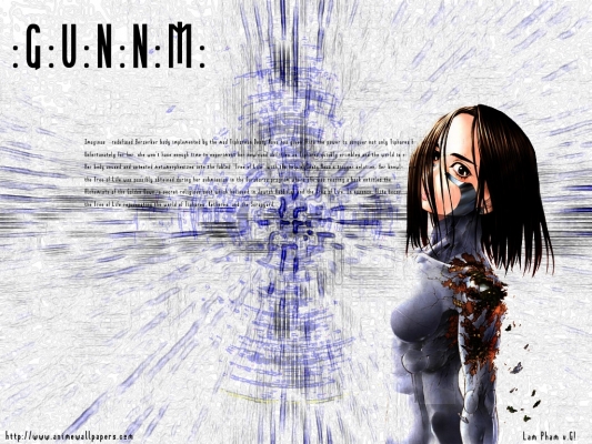 Battle Angel Alita
   , Battle Angel Alita Tsutsu Yume Gunnm  ,     , Battle Angel Alita Tsutsu Yume  anime picture and Battle Angel Alita Tsutsu wallpaper desktop,    ,    