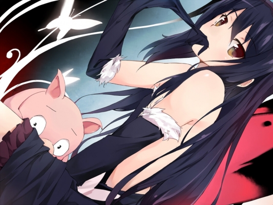 Accel World Wallpaper
 Accel World anime picture and wallpaper desktop    ,  ,     