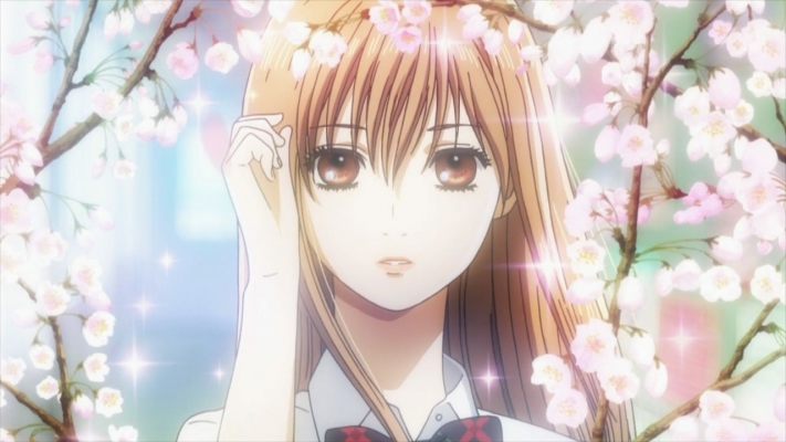 Chihayafuru Wallpaper
 Chihayafuru  ,  ,     ,     , anime picture and wallpaper desktop