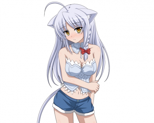 Dog Days
    ,  ,     , Dog Days anime picture and wallpaper desktop,    ,    