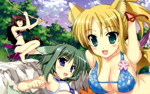 Dog Days
    ,  ,     , Dog Days anime picture and wallpaper desktop,    ,    