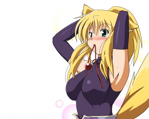 Dog Days
    ,  ,     , Dog Days anime picture and wallpaper desktop,    ,    