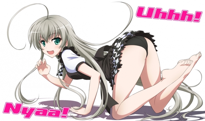 Haiyore! Nyaruko-san
 ! -  ,  ,     , Haiyore! Nyaruko-san anime picture and wallpaper desktop,    ,    