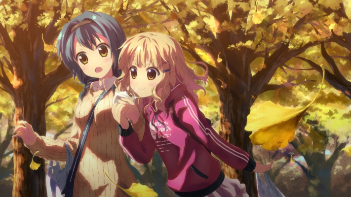 Yuru Yuri wallpaper
 Yuru Yuri  ,  ,     , Yuruyuri  anime picture and wallpaper desktop,    ,    