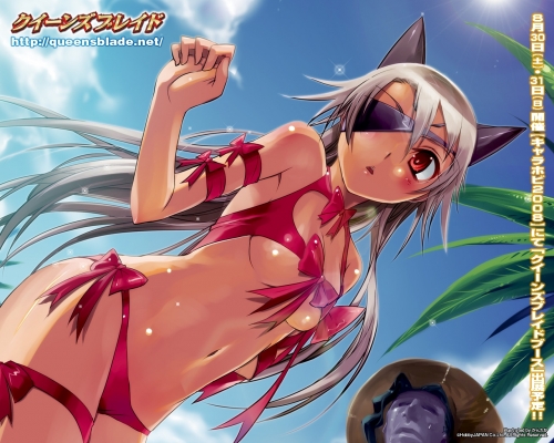 Queens Blade wallpaper
    ,  ,     , Queens Blade anime picture and wallpaper desktop,    ,    