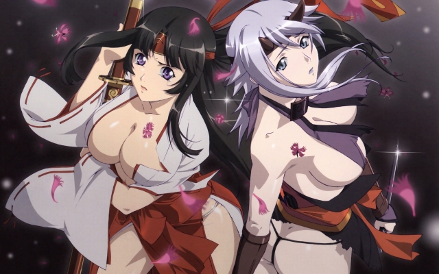 Queens Blade wallpaper
    ,  ,     , Queens Blade anime picture and wallpaper desktop,    ,    