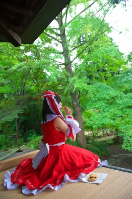 hakurei reimu by riyo
touhou cosplay pictures  