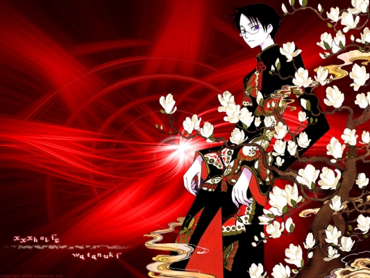 XXXholic Wallpaper
   ,  ,     , XXXholic  anime picture and wallpaper desktop,    ,    