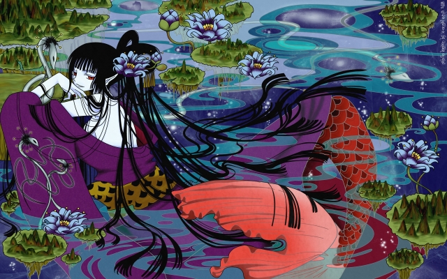 XXXholic Wallpaper
   ,  ,     , XXXholic  anime picture and wallpaper desktop,    ,    