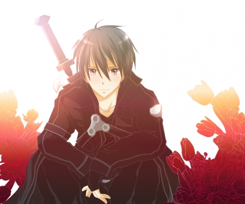 Sword Art Online
 Sword Art Online     ,  ,     , anime picture and wallpaper desktop,    ,    