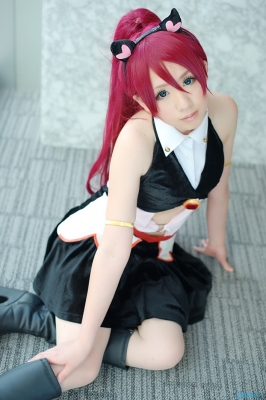 sherry blendi by kiichigo taruto
Fairy Tail Cosplay pictures    