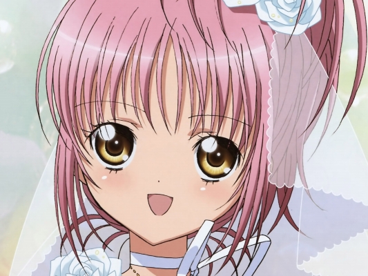 Shugo Chara!
- ,  ,     , Shugo Chara! anime picture and wallpaper desktop,    ,    