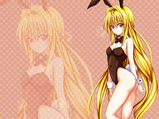 To Love-Ru
  ,  ,     , To Love-Ru anime picture and wallpaper desktop,    ,    