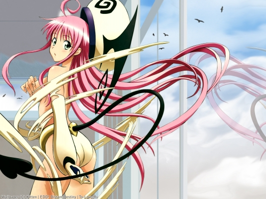 To Love-Ru
  ,  ,     , To Love-Ru anime picture and wallpaper desktop,    ,    