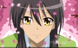 Kaichou wa Maid-sama! 067
 Kaichou wa Maid sama wallpaper