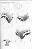   
giant robots   how to draw manga        ,         ,   ,    ,    