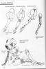   
giant robots   how to draw manga        ,         ,   ,    ,    