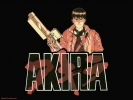 Akira wallpaper
  , Akira  ,     , Akira anime picture and Akira wallpaper desktop,    ,    