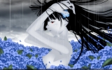 Sankarea Wallpaper
Sankarea    ,  ,     , anime picture and wallpaper desktop,    ,    