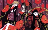 XXXholic Wallpaper
   ,  ,     , XXXholic  anime picture and wallpaper desktop,    ,    