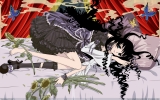 XXXholic Wallpaper
   ,  ,     , XXXholic  anime picture and wallpaper desktop,    ,    