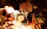 Fairy Tail 
  Fairy Tail          ,  ,     , anime picture and wallpaper desktop,    ,    