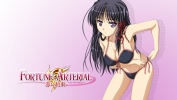 Fortune Arterial
   ,  ,     , Fortune Arterial anime picture and wallpaper desktop,    ,    