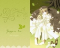 Yosuga no Sora
   ,  ,     , Yosuga no Sora anime picture and wallpaper desktop,    ,    
