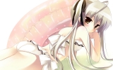 Yosuga no Sora
   ,  ,     , Yosuga no Sora anime picture and wallpaper desktop,    ,    