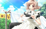 Yosuga no Sora
   ,  ,     , Yosuga no Sora anime picture and wallpaper desktop,    ,    