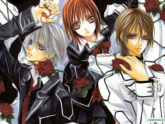 Vampire Knight
