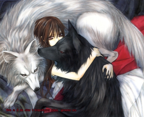 Vampire Knight
