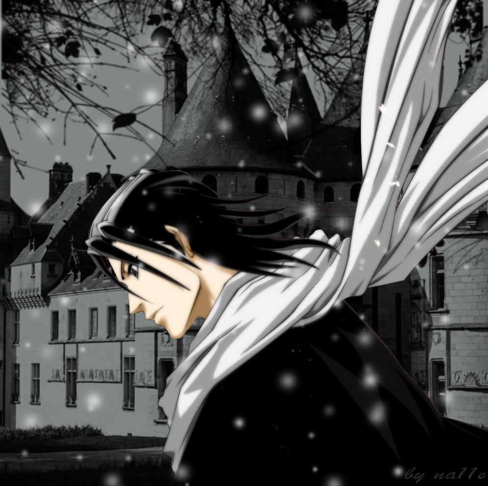 кучики бьякуя kuchiki byakuya - 79417