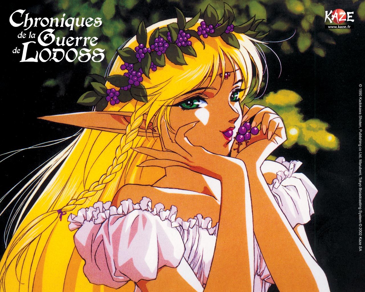 Lodoss-tou Senki Eiyuu Kishi Den - 7248