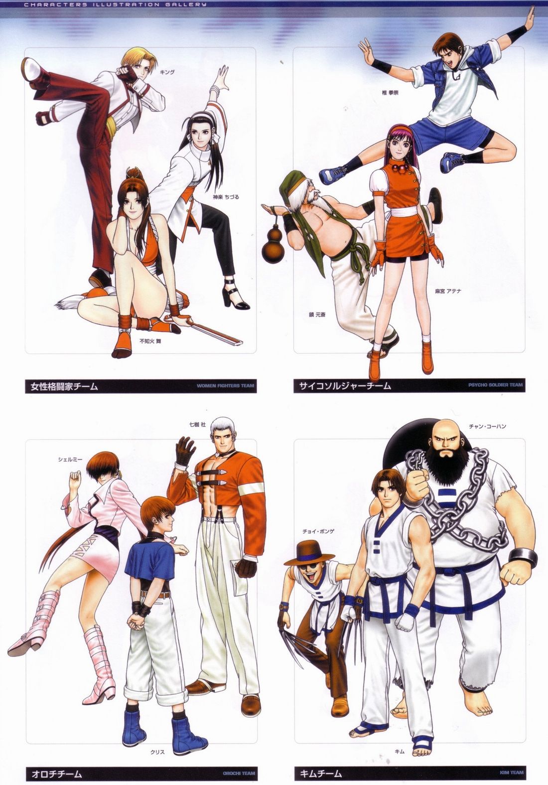 Artbook, -, King, Fighters, Fighting, Evolution, 10th