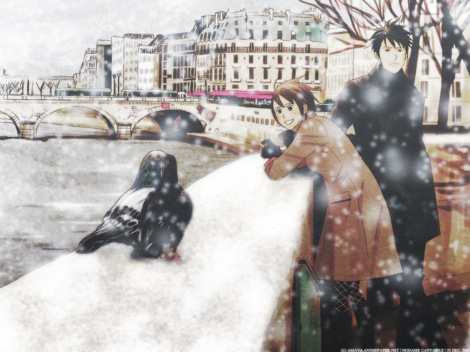 Nodame, Cantabile