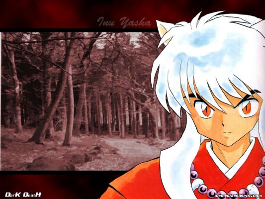 Inuyasha
Inuyasha