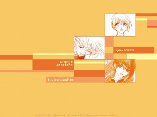 Fruits Basket
Fruits Basket