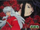 Inuyasha
Inuyasha