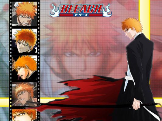 bleach30
bleach 