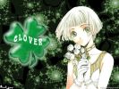 Clover15
Clover 