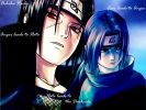 Uchiha blood
Uchiha