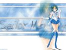 Seilor Mercury
Sailor Moon