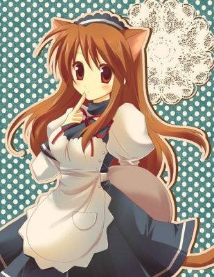 Neko Asahina-san
asahina mikuru maiden neko