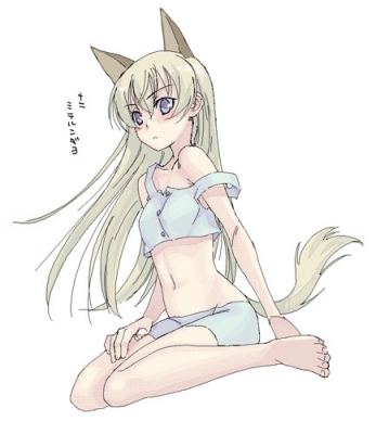 Nyaa~
neko catgirl