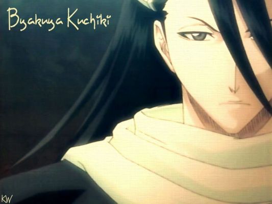 Kuchiki Byakuya
Bleach