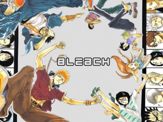 Bleach
Bleach