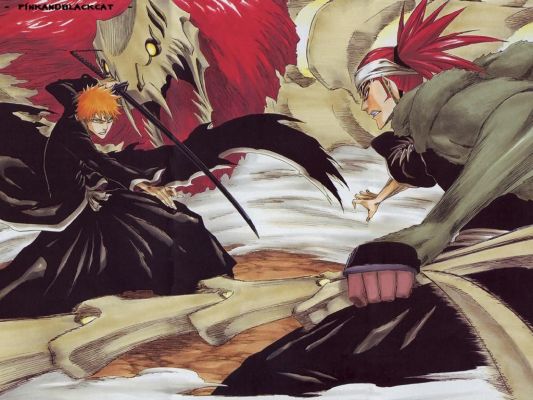 Ichigo & Renj
Bleach