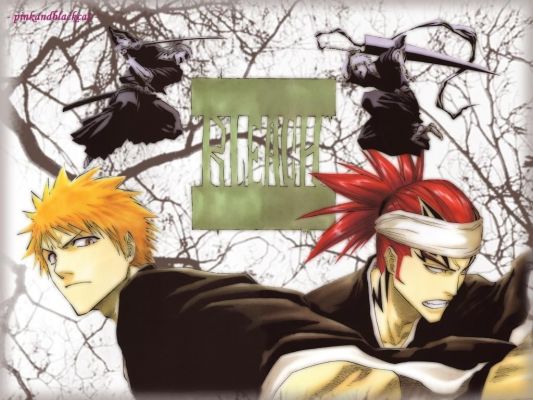 Ichigo & Renj
Bleach